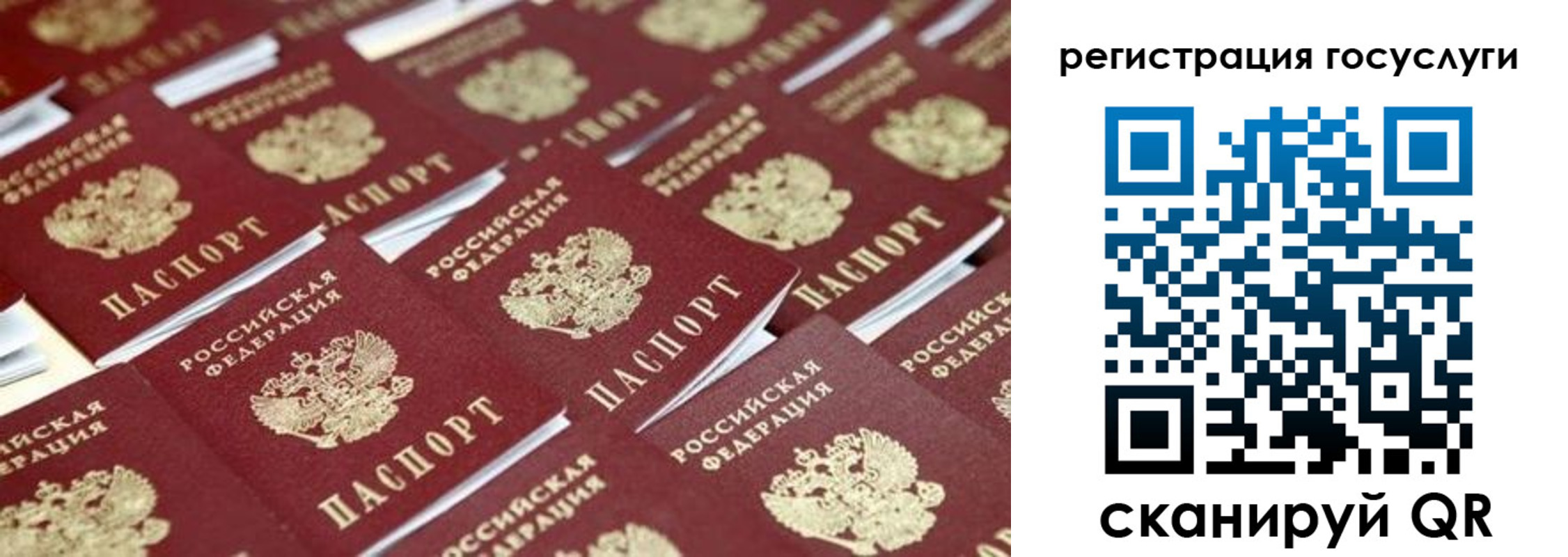 прописка ребенка в Североморске